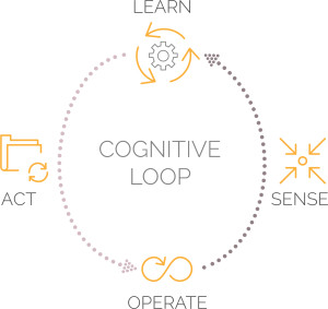 The Cognitive Loop